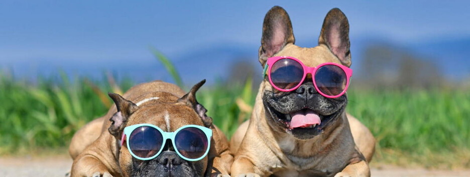 Жара маловероятна: какая погода ждет украинцев в ближайшие дни 