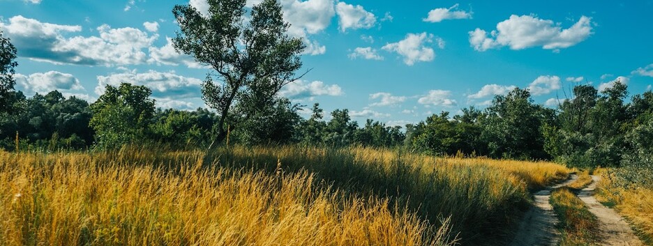 Усі рекорди літньої спеки аж до +41: синоптики розповіли, якою буде погода у липні