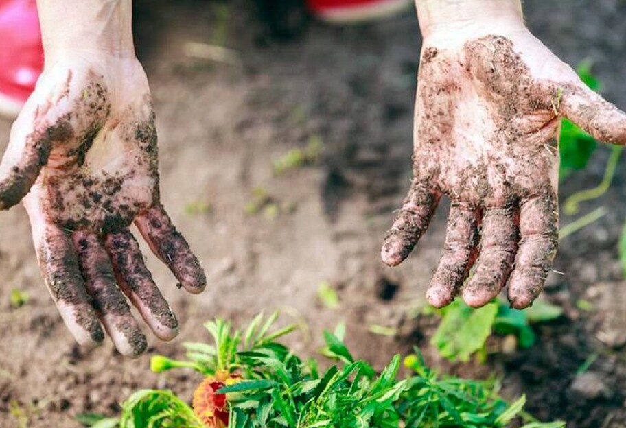 Очищение кожи после огорода - как отмыть руки - полезные советы - фото 1