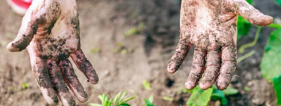 Як відмити руки після роботи із землею: 4 корисні лайфхаки