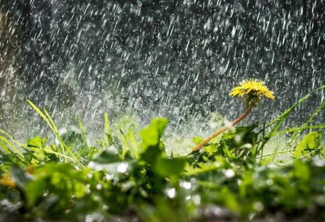 Сезон дождей продолжается: какой будет погода в Украине 13 июля