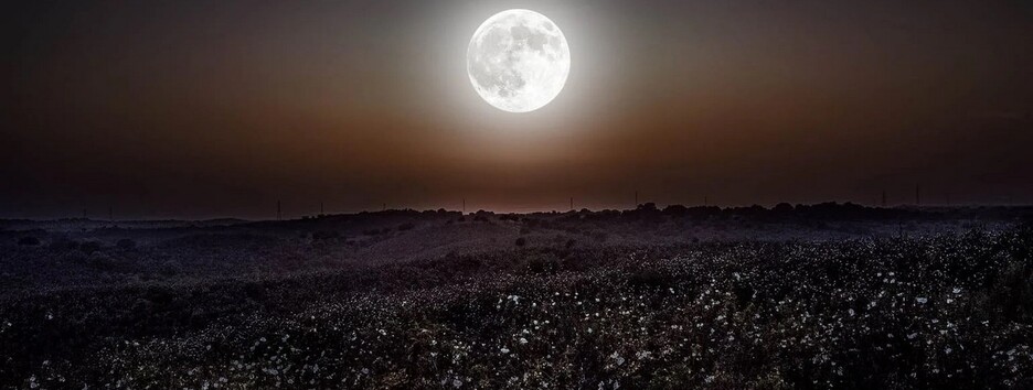 Полнолуние в Козероге: чего ждать знакам Зодиака в этот день