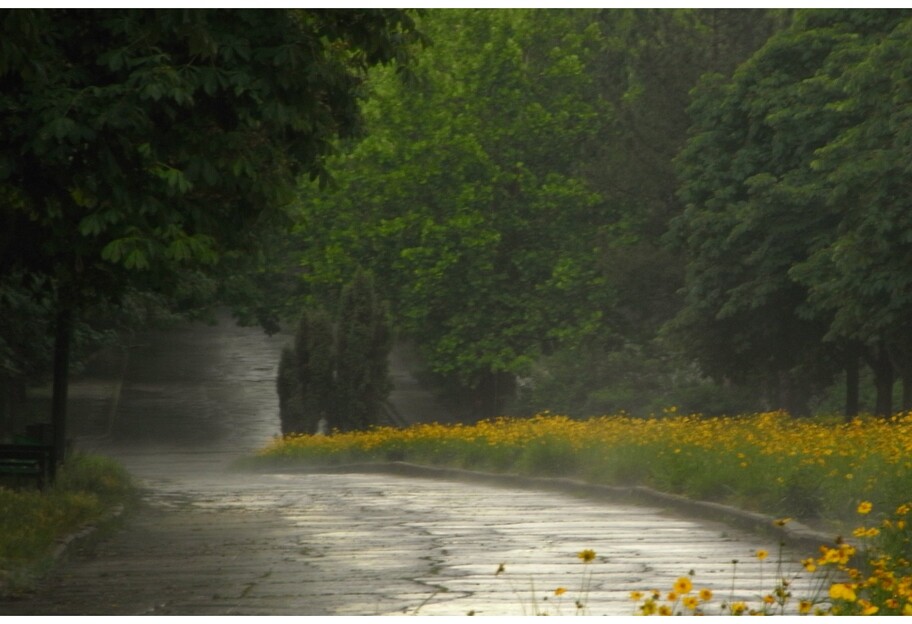 Погода 16-17 июля - в Украину идут дожди с похолоданием  - фото 1