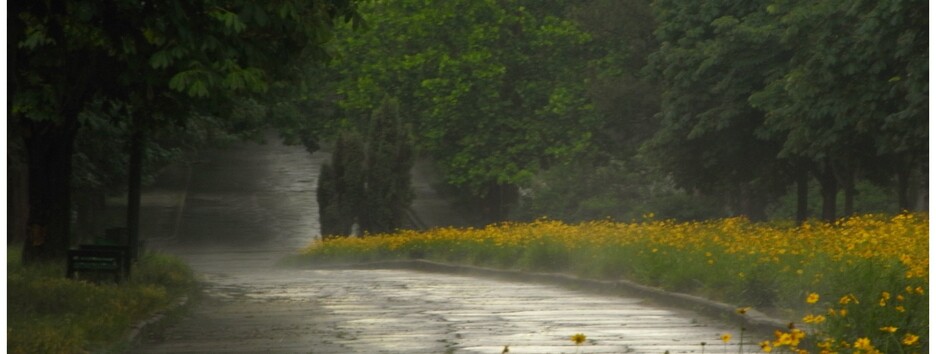 Прогноз погоды на выходные 16–17 июля: жара на Востоке, похолодание на Западе и грозы