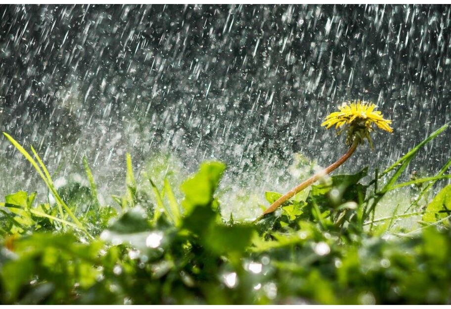 Погода на вихідні 23-24 липня - в Україні буде дощ та спека - фото 1
