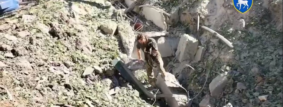 В Николаеве военные спасли контуженного щенка: в сети показали щемящее видео 