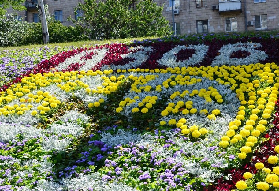 Полку Азов присвятили панно з квітів у Києві - фото - фото 1