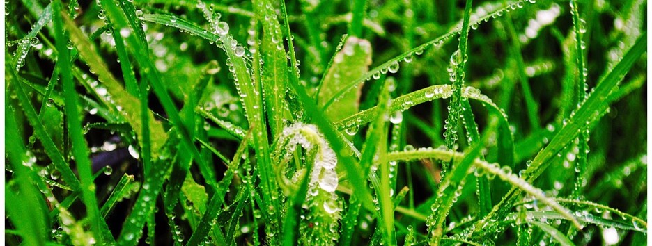 Прогноз погоди на вихідні 30-31 липня: на Заході - дощі та прохолода, на Півдні - спека