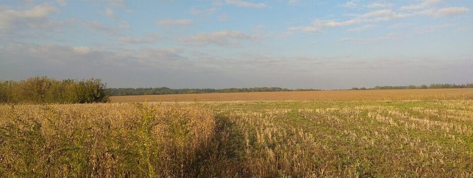 Літо піде достроково: синоптики розповіли про погоду на серпень