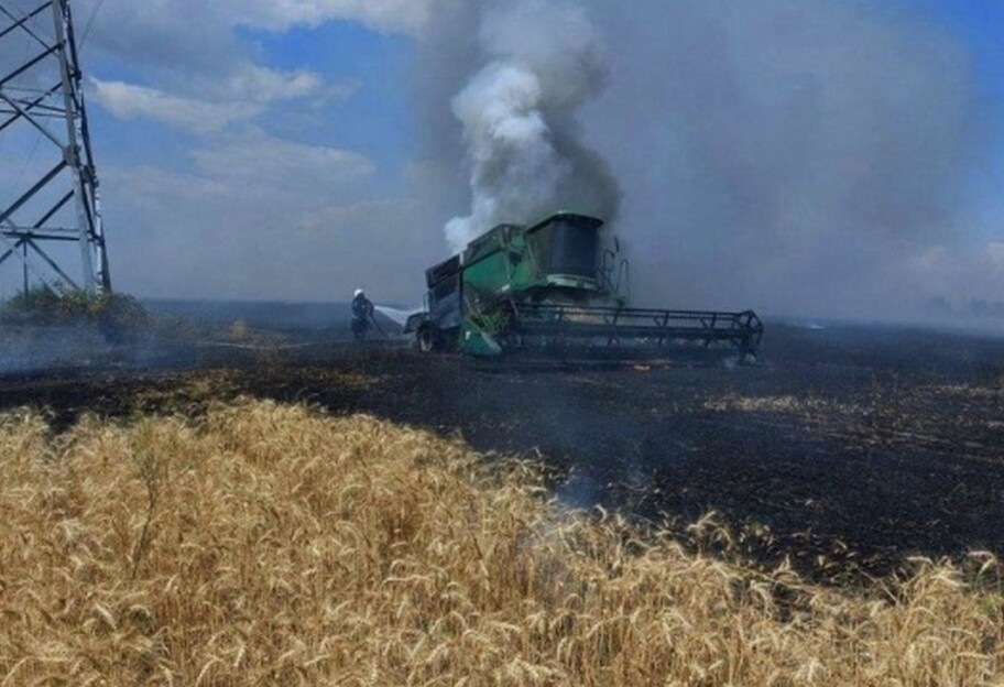 Урожай в Україні 2022 - через обстріл РФ обсяги можуть скоротитися вдвічі - фото 1