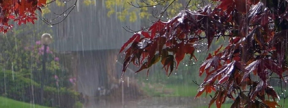 Циклон несет в Украину новые грозы и шквальный ветер: прогноз погоды на 3 августа