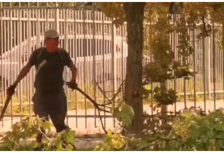 Готовят дрова на зиму: в Мариуполе оккупанты начали вырубывать деревья в парках (видео)