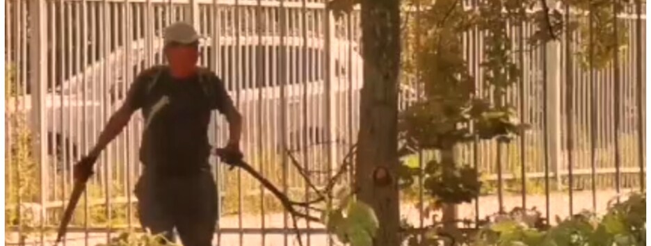 Готовят дрова на зиму: в Мариуполе оккупанты начали вырубывать деревья в парках (видео)