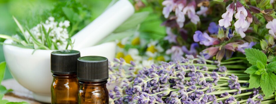 И носа не подточит: народные средства от комаров