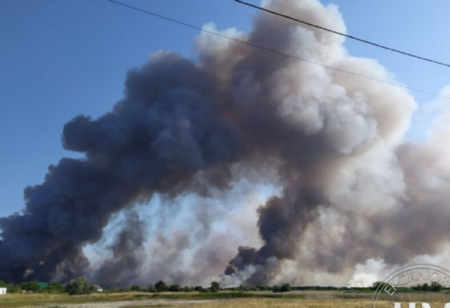 Пожежі на Кінбурнській косі – в окупації горить заповідна зона - відео - фото 1
