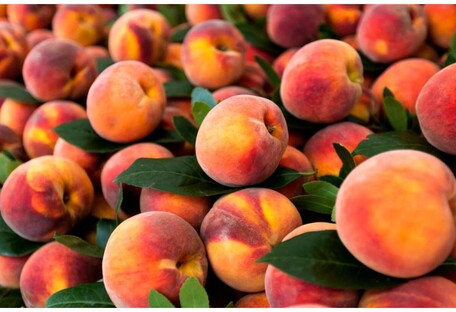 Гарнір із фруктами: рецепт кус-куса з персиками та фетою