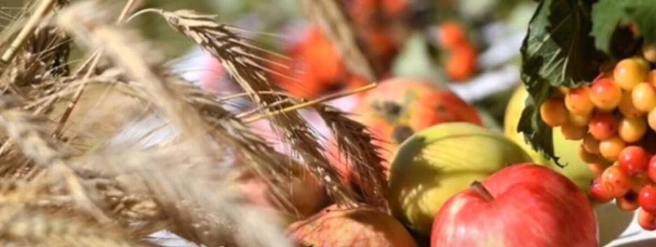 Яблочный Спас в 2022 году: приметы и запреты на 19 августа