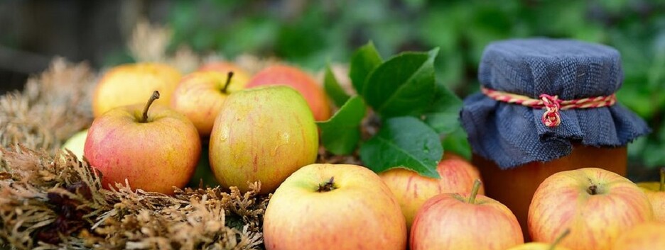  Молитвы на Яблочный Спас: о чем просить Бога в праздник 