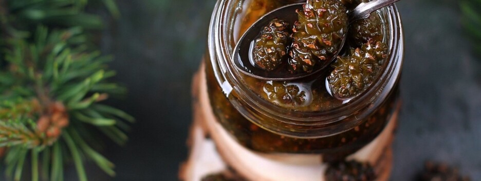 Не только вкус, но и польза: рецепт варенья из шишек на зиму