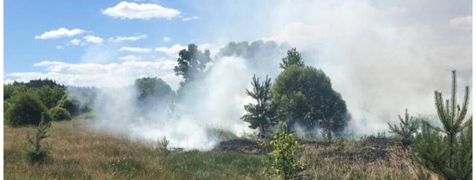 Озвучена сумма ущерба природе после вторжения РФ в Украину (инфографика)