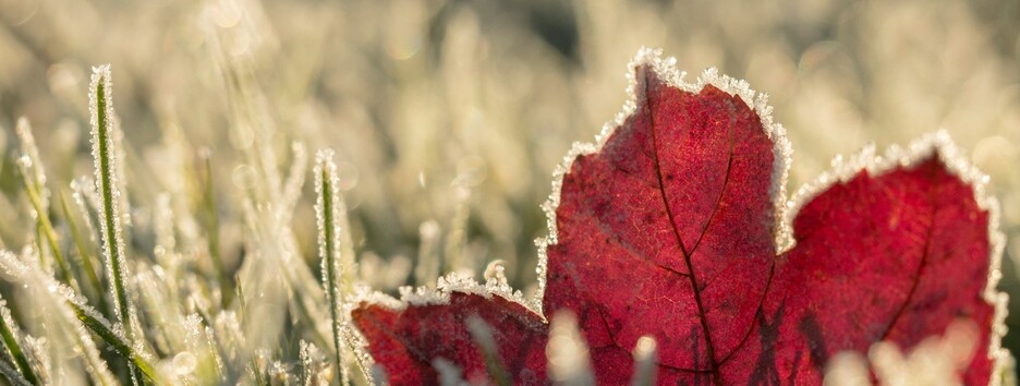 Арктический воздух принесет в Украину заморозки: прогноз погоды на неделю 