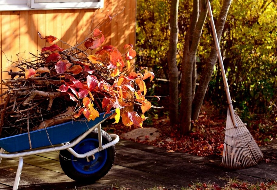 Прибирання городу восени - популярні помилки садівників - фото 1