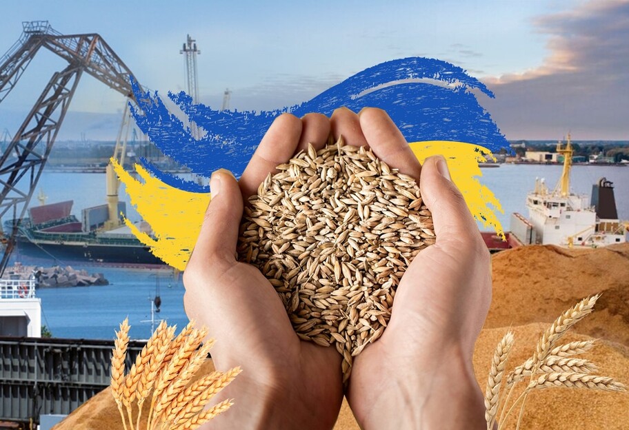 Зерновой вопрос - Украина продолжает экспорт в Азию и Африку - фото 1