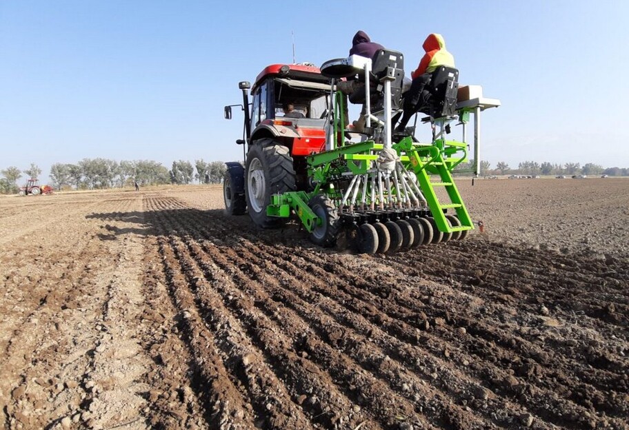 Україна розпочала посівну озимих зернових - аграрії на третину скоротять площі - фото 1
