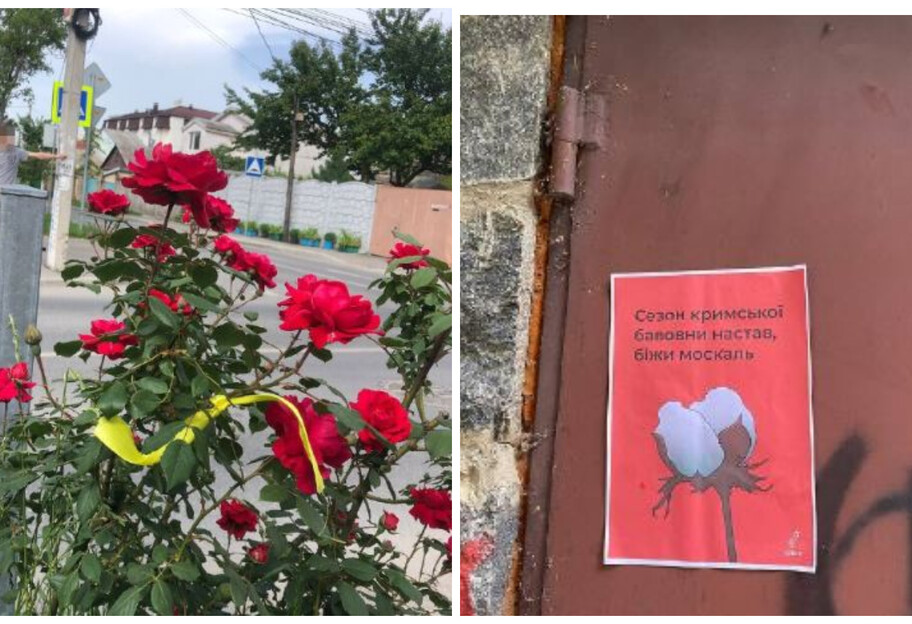 Украинские листовки в Крыму - в Евпатории и Симферополе активисты распространили плакаты, фото - фото 1