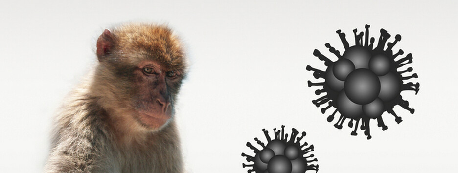 В Україні зафіксували перший випадок віспи мавп – МОЗ