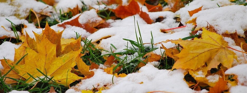 Сніг до 5 см: українців налякали прогнозом на вихідні