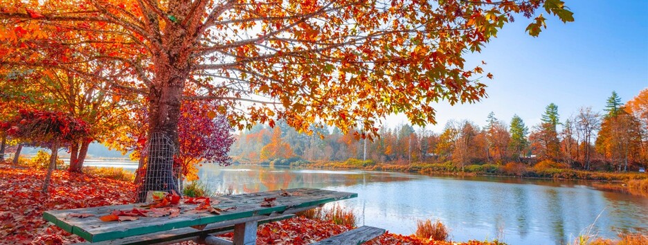 В Украину придет ожидаемое потепление: синоптик сказал, когда можно снять куртки