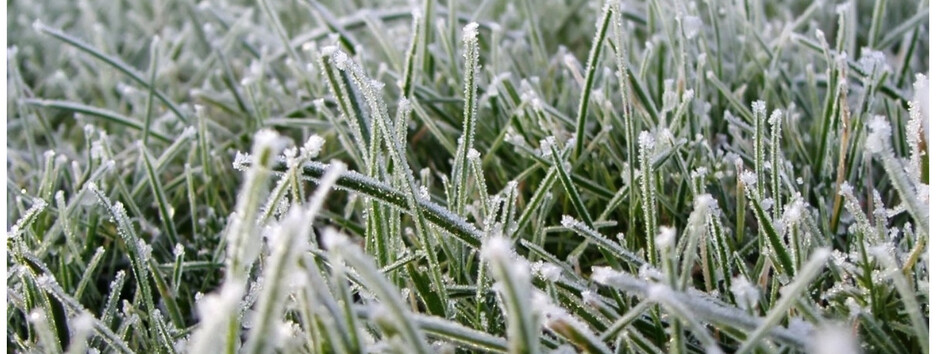 Погода на вихідні: у деяких областях очікуються заморозки