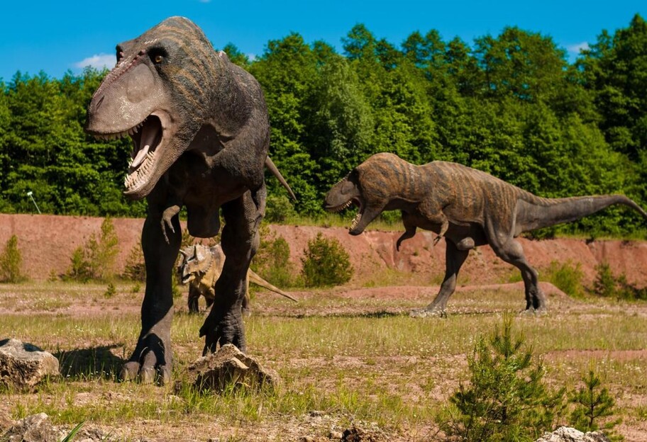 Вымирание динозавров - ученые назвали цунами главной причиной - фото 1