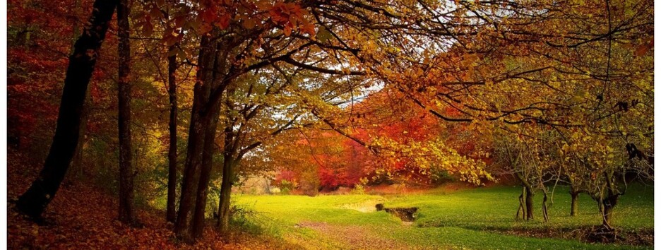 Бархатный сезон: какой будет погода в Украине 7 октября