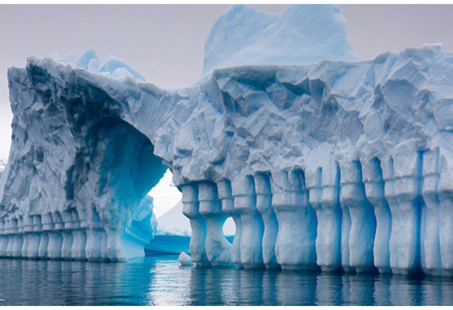 В Антарктиде ученые нашли ДНК, которой миллион лет - фото 1