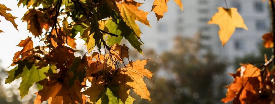 В Украине продолжается бабье лето: какой будет погода во вторник