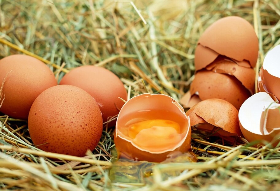 Ціна на яйця в Україні впаде у жовтні - прогноз Мінагрополітики - фото 1