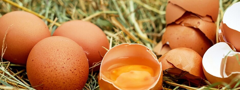 Когда в Украине снова подешевеют яйца: власти дали ответ