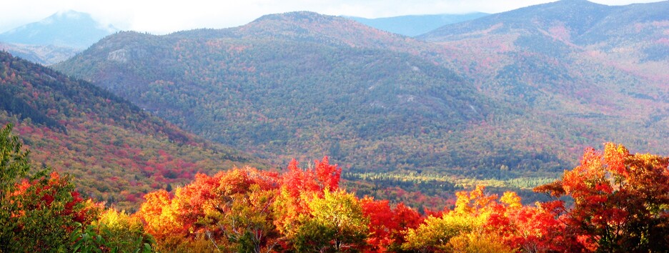 Прогноз погоды на выходные 15–16 октября: золотая осень дарит чудесный уик-энд