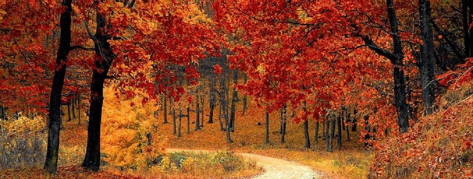 Погода на 15 октября: в некоторых местах будет туман