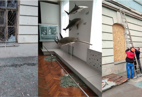 Украинцев просят помочь спасти экспонаты Национального музея после обстрелов Киева