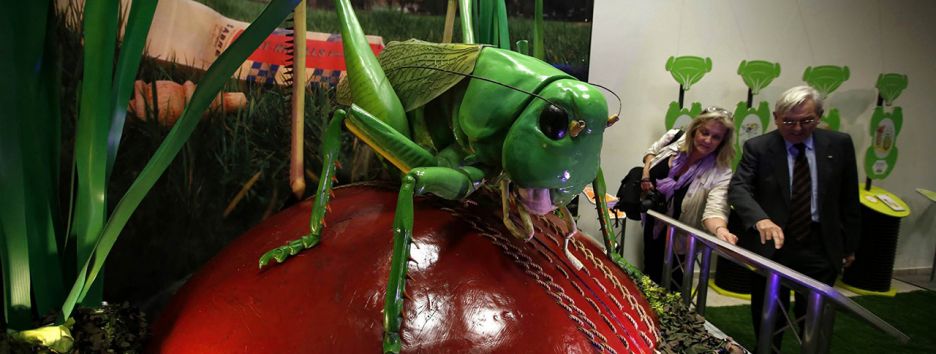 Динозавры в Вифлееме: палестинским детям показали мезозойскую эру