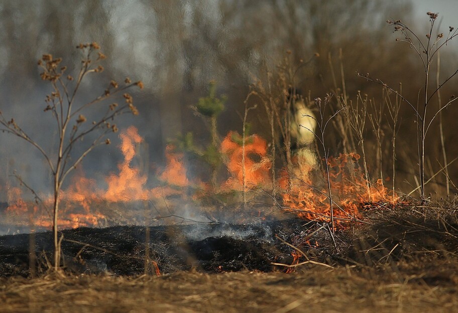 Ущерб окружающей среде Украины от агрессии рф – убытки оцениваются в 37 миллиардов евро - фото 1
