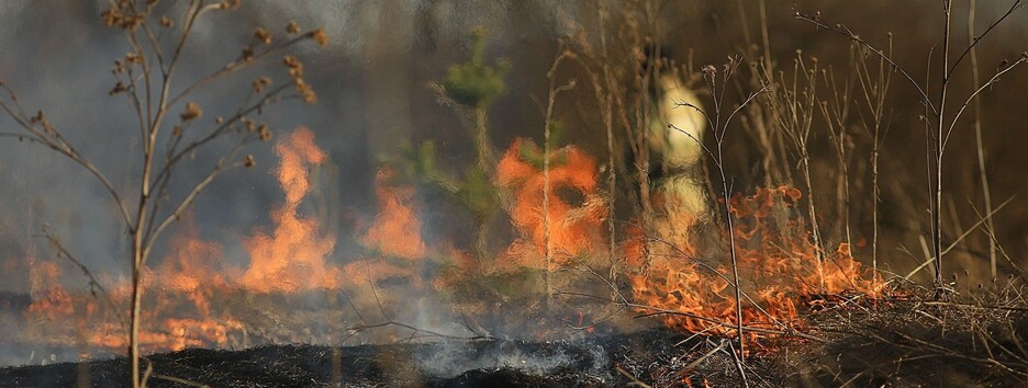 Агрессия россии нанесла ущерб окружающей среде Украины на 37 миллиардов евро: детали