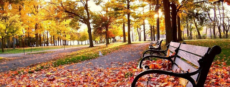 Прогноз погоды на выходные 22–23 октября: все еще золотая осень 