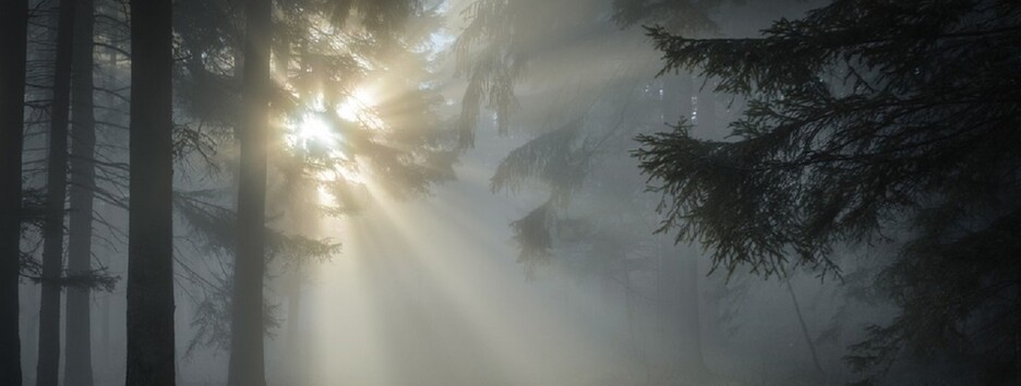 Погода на 22 октября: синоптики рассказали, где не будет тумана