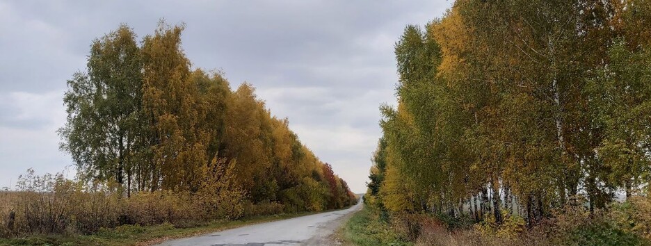 Обіцяють дощі, морози та снігопади: прогноз погоди на листопад по всіх областях