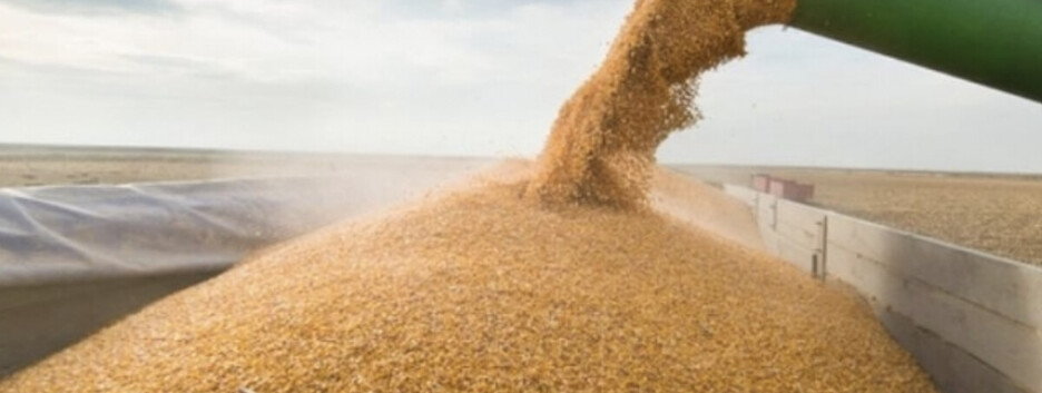 Бьет по самыи бедным странам: рынок зерна отреагировал на выход россии из соглашения