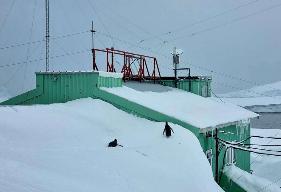 Станцию Академик Вернадский засыпало рекордным снегом - фото сугробов - фото 1